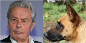Copertina di Alain Delon: “Se morirò prima del mio cane, chiederò al veterinario di abbatterlo e lasciarci andare insieme”. La famiglia ferma tutto: “Vivrà con noi”