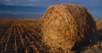 Copertina di Operaio di 25 anni muore nel Torinese: incastrato nel macchinario di un’azienda agricola