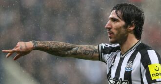 Copertina di Caso scommesse, squalifica terminata per Sandro Tonali: il centrocampista del Newcastle torna in campo