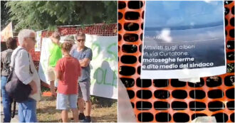 Copertina di Cittadini contro l’abbattimento del bosco di Gallarate: ambientalisti si arrampicano sugli alberi, fermata attivista