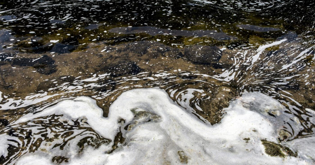 “I depuratori non bastano, stop agli scarichi industriali”: l’allarme a Torino per i Pfas e il rischio blocco delle fabbriche manifatturiere