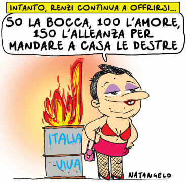 Copertina di La vignetta di Natangelo