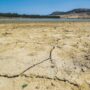 Copertina di Record negativi e flussi sotto il “minimo vitale”: la siccità asciuga fiumi e laghi del Centro e Nord Italia