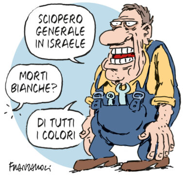 Copertina di La vignetta di Franzaroli