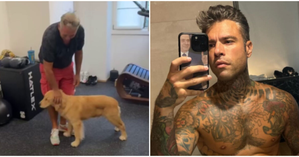 “Silvio il cane è accreditato al Festival di Venezia?  Sì, tanto ci vanno cani e porci”: Fedez arriva sul red carpet e il papà fa ironia