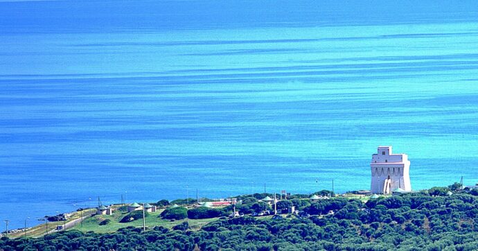 A rischio gli “ingegneri” del mare, così le microplastiche danneggiano il lavoro di biocostruzione dei policheti