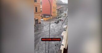 Copertina di Nubifragio a Roma: acqua fino alle portiere delle auto in zona Vaticano. Le immagini degli allagamenti