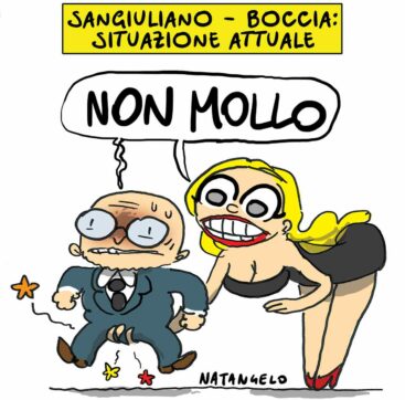 Copertina di La vignetta di Natangelo