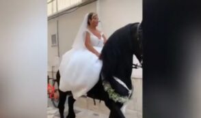 Copertina di La sposa arriva in chiesa a cavallo ma non tutti apprezzano: “Che cafonata!”, “Siamo nel terzo millennio”, “Povera bestia”