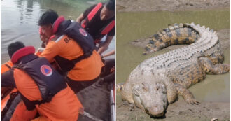 Copertina di Uomo ucciso e divorato da un coccodrillo: era andato a fare un bagno al fiume ed è scomparso nel nulla. Le autorità: “Testa e braccia sono scomparse”