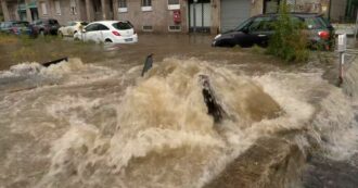 Copertina di Nubifragio a Milano, esondano il Lambro e il Seveso: così l’acqua fuoriesce dai tombini e invade le strade – Video