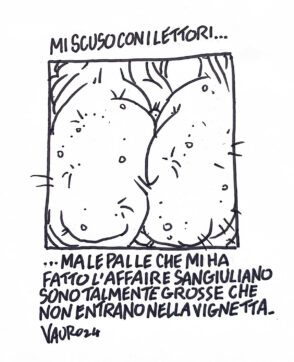 Copertina di La vignetta di Vauro