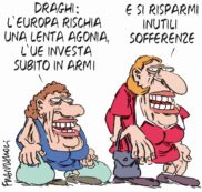 Copertina di La vignetta di Franzaroli