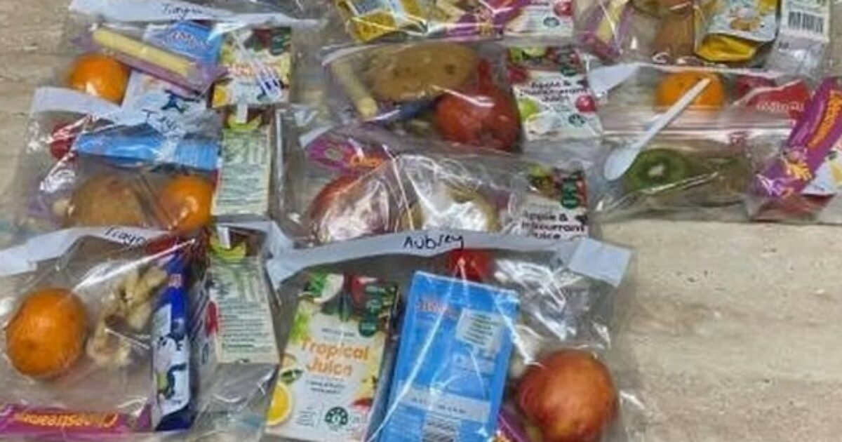 “Preparo tutti i pranzi al sacco per i miei figli in una volta sola e li conservo così”: una mamma posta una foto su Facebook ma in molti la criticano