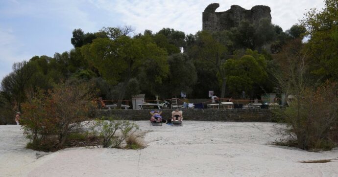 Invasione di insetti sul lago di Garda: bimbi in lacrime e turisti in fuga. “Non erano normali, si infilavano ovunque”