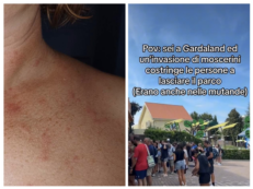 Copertina di “Invasione di moscerini fino a dentro le mutande. Molte chiamate al 112”: sul lago di Garda è scattata l’allerta per l’invasione di pappataci