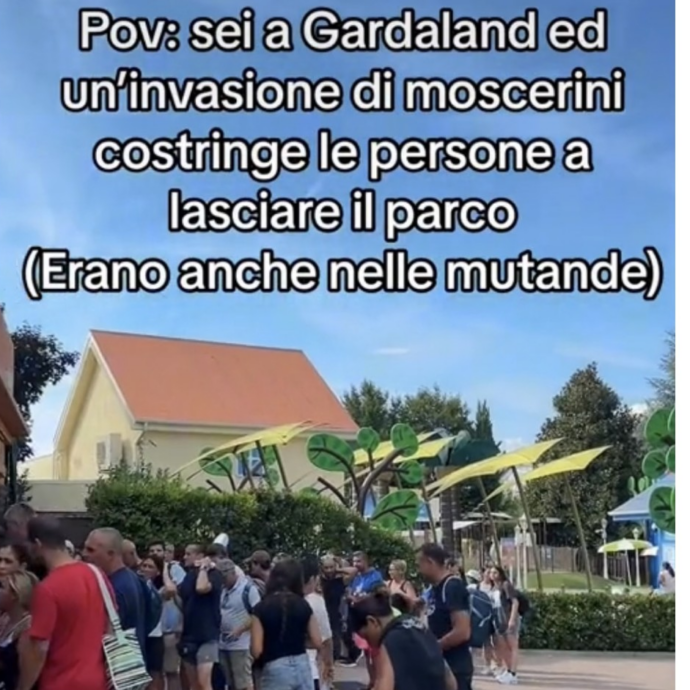 “Invasione di moscerini fino a dentro le mutande. Molte chiamate al 112”: sul lago di Garda è scattata l’allerta per l’invasione di pappataci