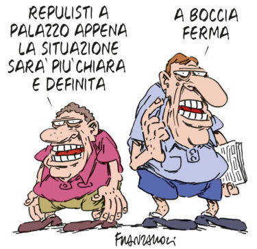 Copertina di La vignetta di Franzaroli