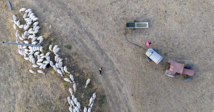 La siccità in Sicilia non dipende solo dal clima: l’isola è nel degrado, l’azione locale può incidere