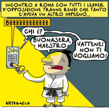 Copertina di La vignetta di Natangelo