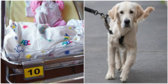 Copertina di “La mia migliore amica ha chiamato sua figlia come il mio cane. E le ha dato anche lo stesso soprannome”: una donna furiosa chiede consiglio sui social