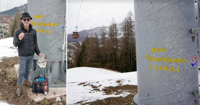 Cortina, scrisse “non torneranno i larici” sul pilone della cabinovia per protestare contro il taglio degli alberi: attivista condannato