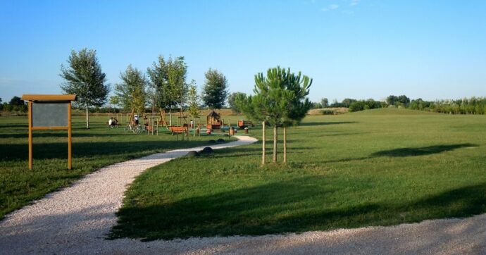 Copertina di “Urban Nature”, torna la festa della natura in città: più foreste urbane per contrastare il riscaldamento globale