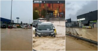 Copertina di Alluvione nelle Marche, ad Ancona straripa il torrente Aspio: allagata la statale 16. Le auto si mettono in salvo sulle rotatorie – Video