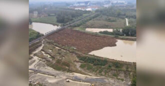 Copertina di Alluvione a Ravenna, un’enorme “diga” di tronchi blocca il ponte a Boncellino: le immagini sono impressionanti