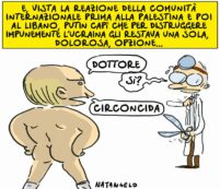 Copertina di La vignetta di Natangelo