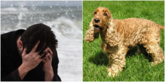 Copertina di Il caso del fratello di Kate Middleton e della sua Ella: “Cosa le accadrebbe se io morissi?”. Così ha aperto a nuove frontiere della pet therapy