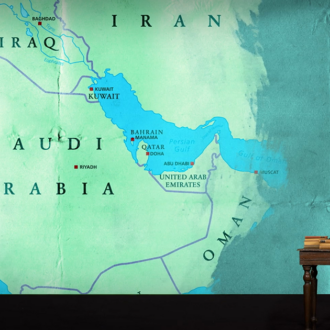 Copertina di La scala verso il terrorismo – Prima parte