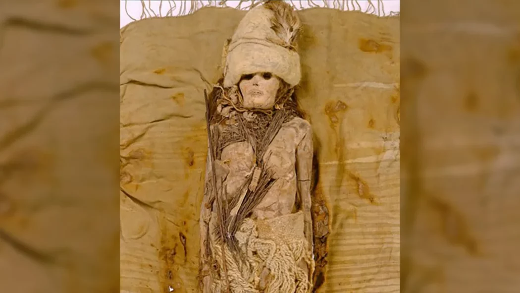 https://st.ilfattoquotidiano.it/wp-content/uploads/2024/09/26/tarim-mummies-from-the-present-day-xinjiang-region-of-northwestern-china-credit-wenying-li-1050x591.webp