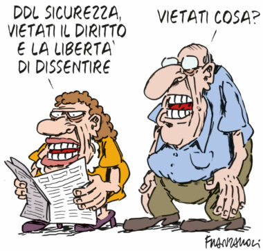 Copertina di La vignetta di Franzaroli