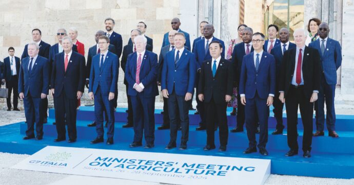 G7  in salita per Lollo: l’asse Roma-Berlino per rinviare il  salva-foreste non piace all’Ue