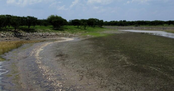 Il Rio delle Amazzoni colpito da una delle più gravi siccità mai registrate: il livello dell’acqua è sceso del 90%. Fauna e abitanti in pericolo