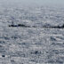 Copertina di Sea Watch: “Due bimbi morti al largo della Tunisia. Frontex aveva visto la barca in difficoltà, se ne è andata”