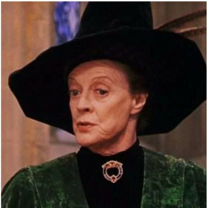 Maggie Smith, l’incredibile coincidenza: “La prof. McGrannitt è morta lo stesso giorno di Albus Silente, esattamente un anno dopo”