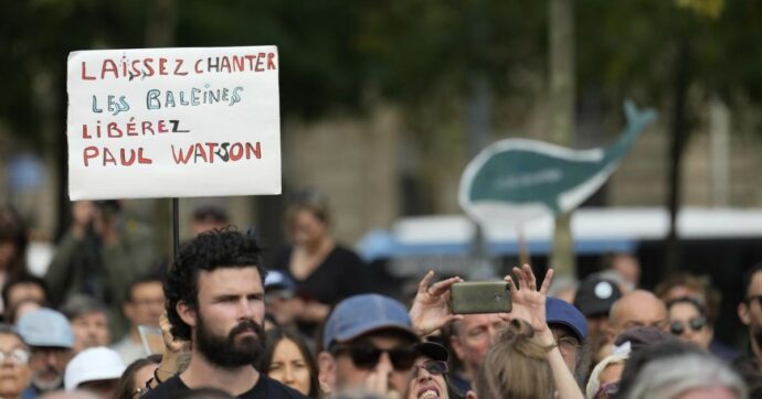 Paul Watson ancora in carcere: così il Giappone prosegue indisturbato la caccia alle balene