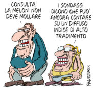 Copertina di La vignetta di Franzaroli