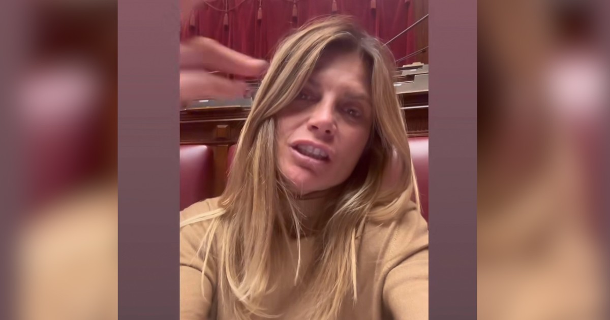 Laura Ravetto e la trousse griffata sparita sul treno. La deputata leghista sui social: “Spero ti venga un’allergia”