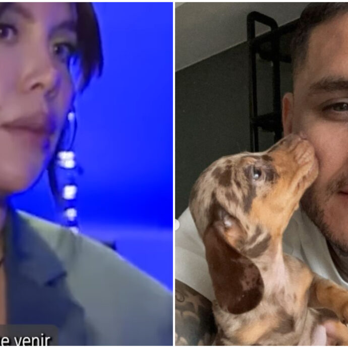 Galeotto fu il bassotto: Mauro Icardi regala a Wanda Nara un cucciolo e lei è entusiasta. I fan: “Segno di un ritorno di fiamma?”