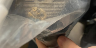 Copertina di “Ho ricevuto un pacco da Shein e dentro non c’erano solo le scarpe. Pensavo fosse un gioco, poi si è mosso”: il racconto della 18enne che ha trovato uno scorpione vivo