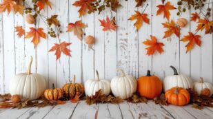 Copertina di Foliage, campi di zucche e shopping vintage: cosa fare nei weekend d’autunno | LA GUIDA
