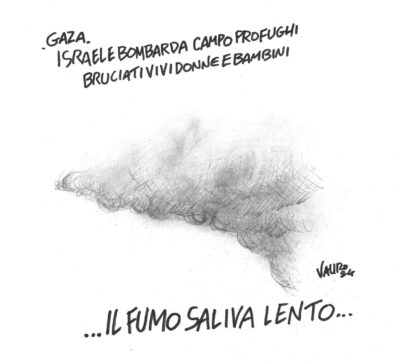 Copertina di La vignetta di Vauro