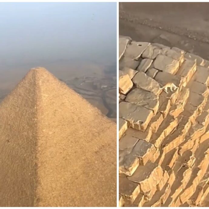 C’è un cane in cima alla Grande Piramide di Giza: è giallo su come ci sia arrivato – VIDEO