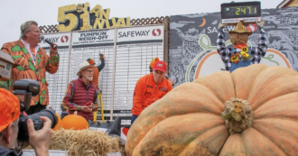 Copertina di La zucca più grande del mondo si chiama Rudy e pesa 1120 chili