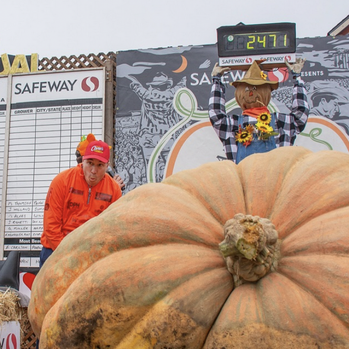 La zucca più grande del mondo si chiama Rudy e pesa 1120 chili