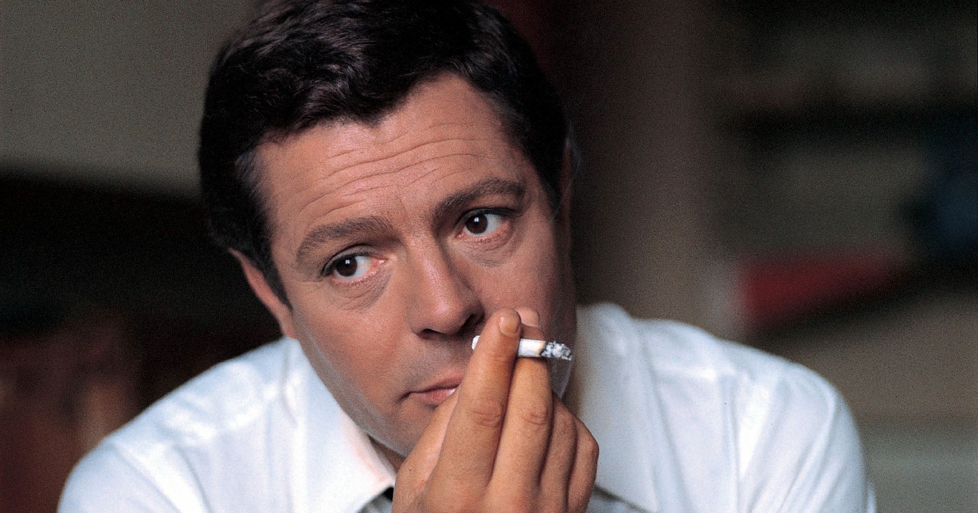 e ora un po8217 di gossip mastroianni su playboy e antonioni derubato da Ilfattoquotidiano.it e ora un po8217 di gossip mastroianni su playboy e antonioni derubato