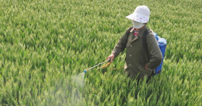 Copertina di Olio, il decreto di Lollo  sui residui che inguaierà il settore